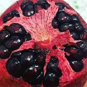 I380X253_922403969335