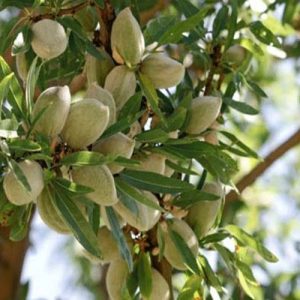 Untitled-123-compressed