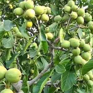 photo_2023-01-02_16-34-17